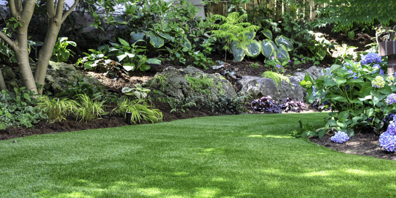 Lawn Care in Statesville, NC